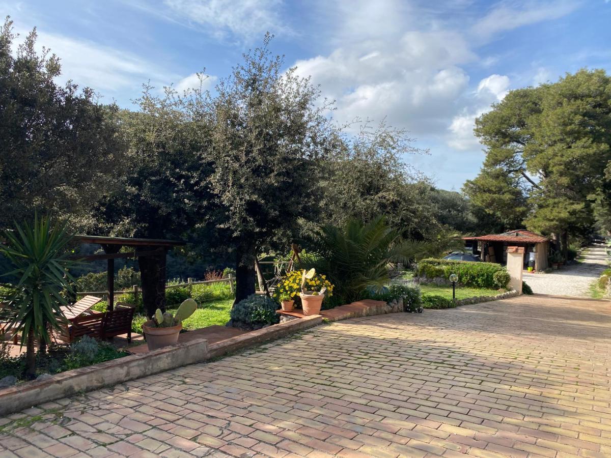 Villa Paradisino Орбетелло Экстерьер фото